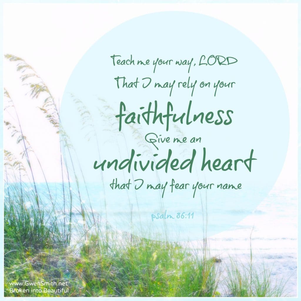 undivided heart