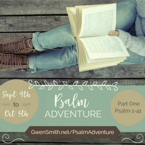 Psalm Adventure Online Bible Study